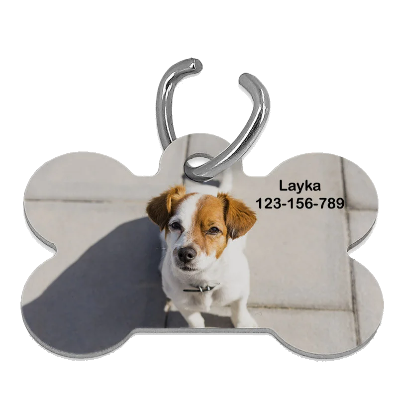 Placa de mascota